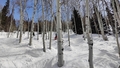 album/03212025/IMG20250321121033.jpg