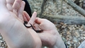 album/03262025/IMG20250326193410.jpg