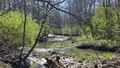 album/04072026/IMG20260407171309.jpg