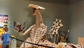 album/04102025/IMG20250410111338.jpg