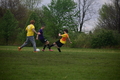album/04182026/DSC_0198.JPG