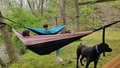 album/04192026/IMG20260419150041.jpg