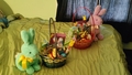 album/04202025/IMG20250420084759.jpg