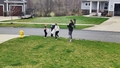 album/04202025/IMG20250420141744.jpg