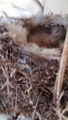 album/04232025/IMG20250423190253.jpg