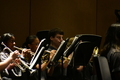 album/04252026/DSC_0023.JPG
