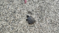 album/04992025/IMG20250429154329.jpg