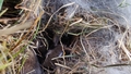 album/04992026/IMG20260428171743.jpg
