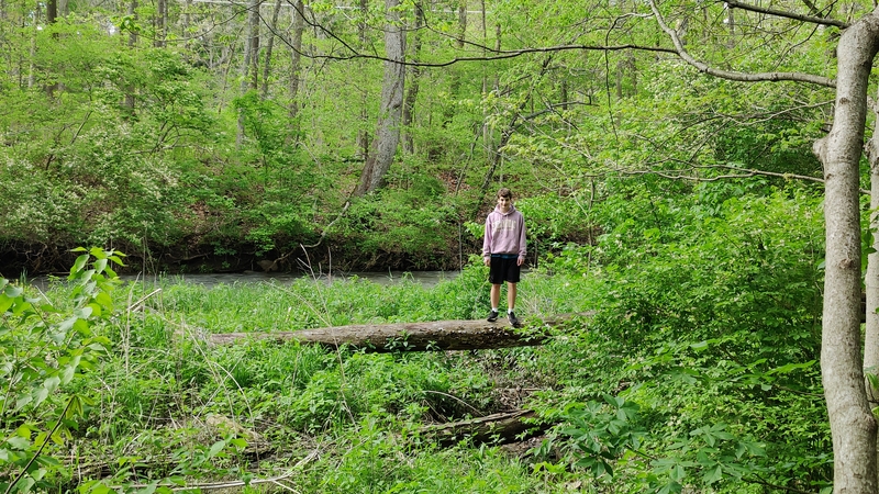 album/04992026/images/IMG20260429163905.jpg