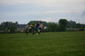 album/05132025/DSC_0522.JPG
