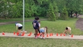 album/05192026/IMG20260519113540.jpg