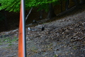 album/05272026/DSC_0886.JPG