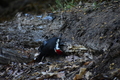 album/05272026/DSC_0891.JPG
