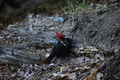 album/05272026/DSC_0893.JPG