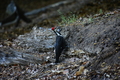 album/05272026/DSC_0903.JPG