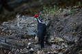 album/05272026/DSC_0911.JPG
