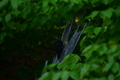 album/05272026/DSC_0915.JPG