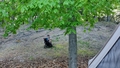 album/05272026/IMG20260527194815.jpg