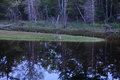 album/05292026/DSC_0958.JPG