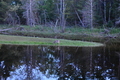 album/05292026/DSC_0962.JPG