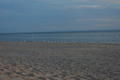 album/05302026/DSC_0966.JPG