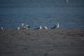 album/05302026/DSC_0968.JPG