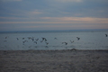 album/05302026/DSC_0972.JPG