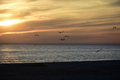 album/05302026/DSC_0980.JPG