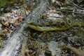album/05312026/DSC_0021.JPG