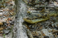 album/05312026/DSC_0022.JPG