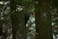 album/05312026/DSC_0027.JPG