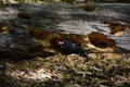 album/05312026/DSC_0046.JPG