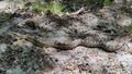 album/05312026/IMG20260531113344.jpg