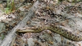 album/05312026/IMG20260531113544.jpg