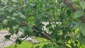 album/05992026/IMG20260508170842.jpg