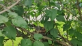 album/05992026/IMG20260508170848.jpg