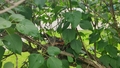 album/05992026/IMG20260508170849.jpg