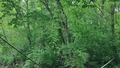 album/05992026/IMG20260514202317.jpg