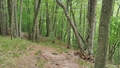 album/06052026/IMG20260605142459.jpg