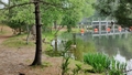 album/06052026/IMG20260605145020.jpg