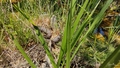 album/06062026/IMG20260606134940.jpg