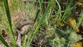 album/06062026/IMG20260606135000.jpg