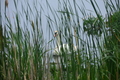 album/060920262/DSC_0078.JPG