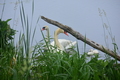 album/060920262/DSC_0079.JPG