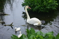 album/060920262/DSC_0083.JPG