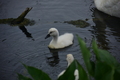 album/060920262/DSC_0084.JPG