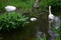 album/060920262/DSC_0088.JPG
