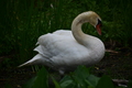 album/060920262/DSC_0089.JPG