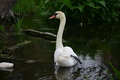 album/060920262/DSC_0090.JPG