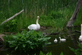 album/060920262/DSC_0093.JPG